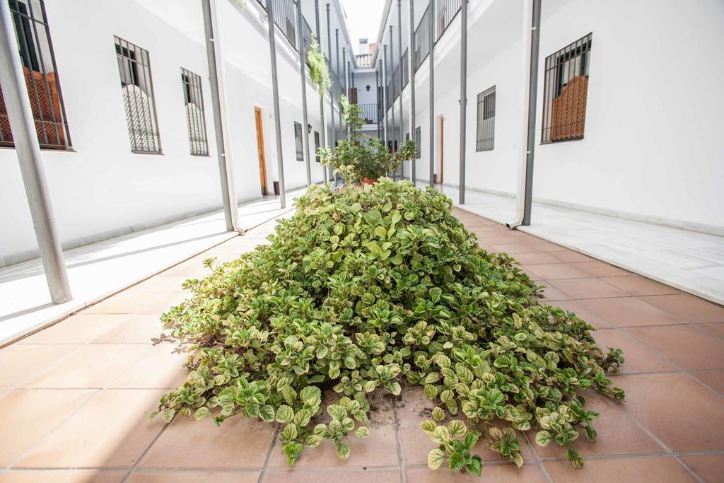 La Casa De Artista, Zona Museo Apartment Seville Luaran gambar